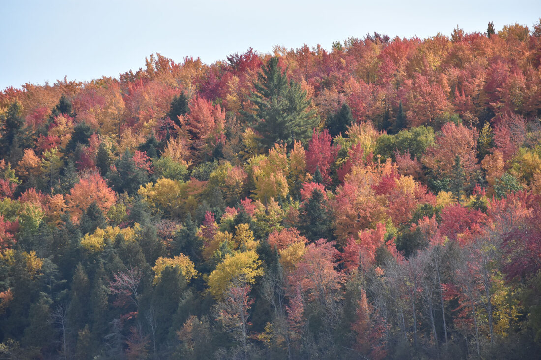 Region Fall Forecast favors warmer fall in region - The Mining Journal